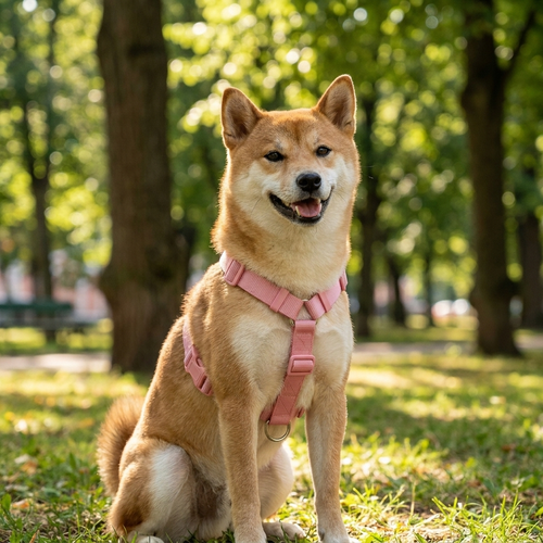 SisiPets "Urban" Harness – Ergonomiczne Szelki Bezuciskowe